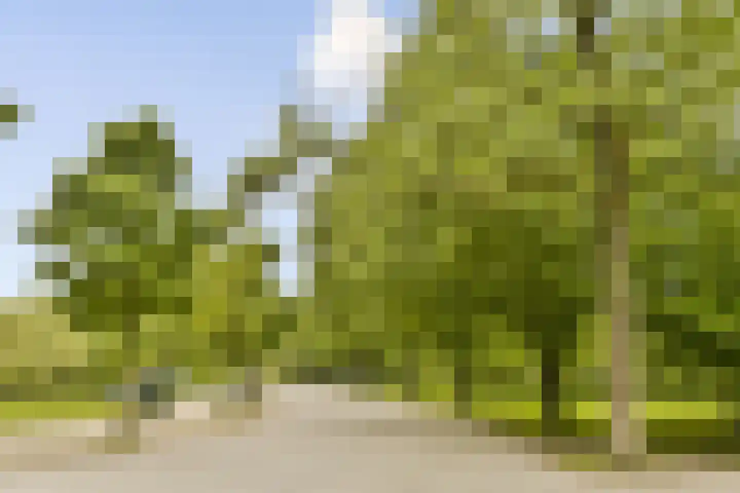 Overtoom 316 3 Amsterdam thumbnail 26