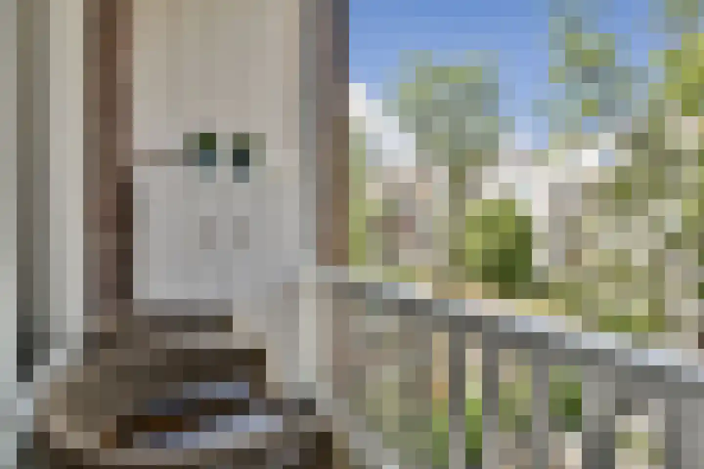 Overtoom 334 1 Amsterdam thumbnail 15
