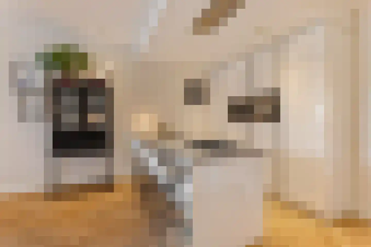 Overtoom 339 1 Amsterdam thumbnail 15