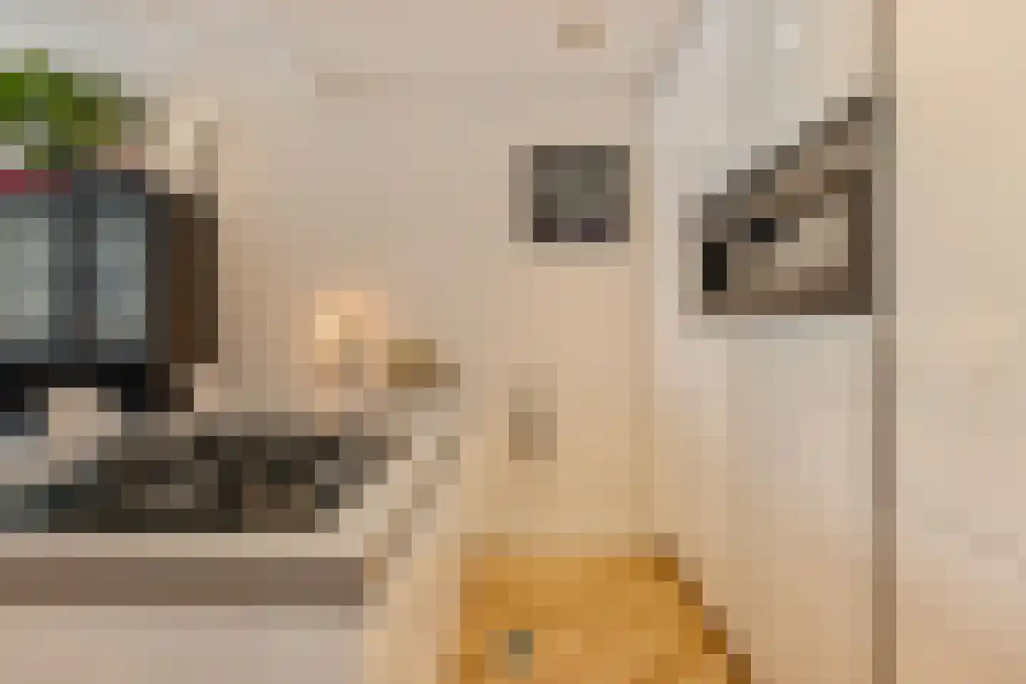 Overtoom 339 1 Amsterdam thumbnail 17