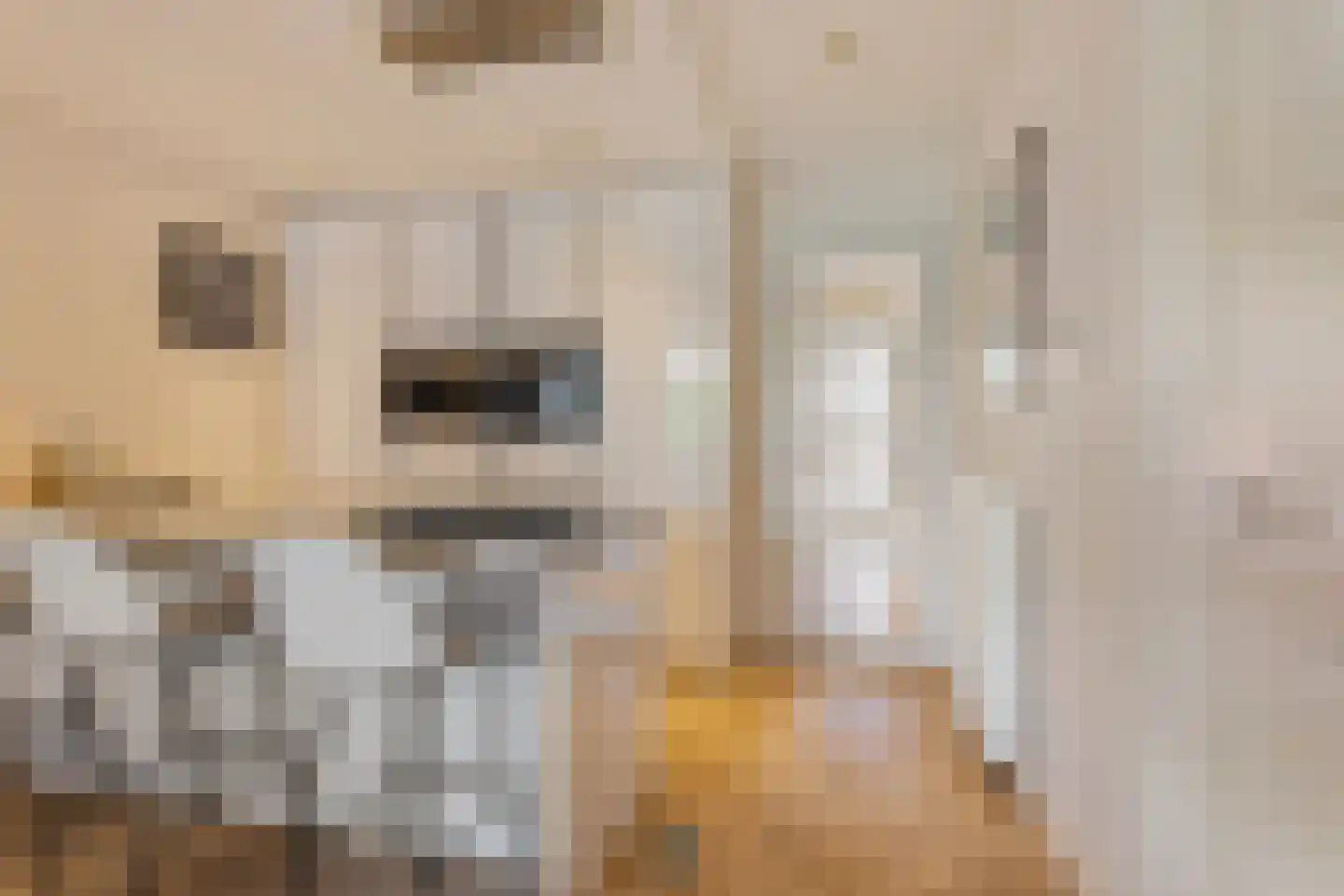 Overtoom 339 1 Amsterdam thumbnail 18