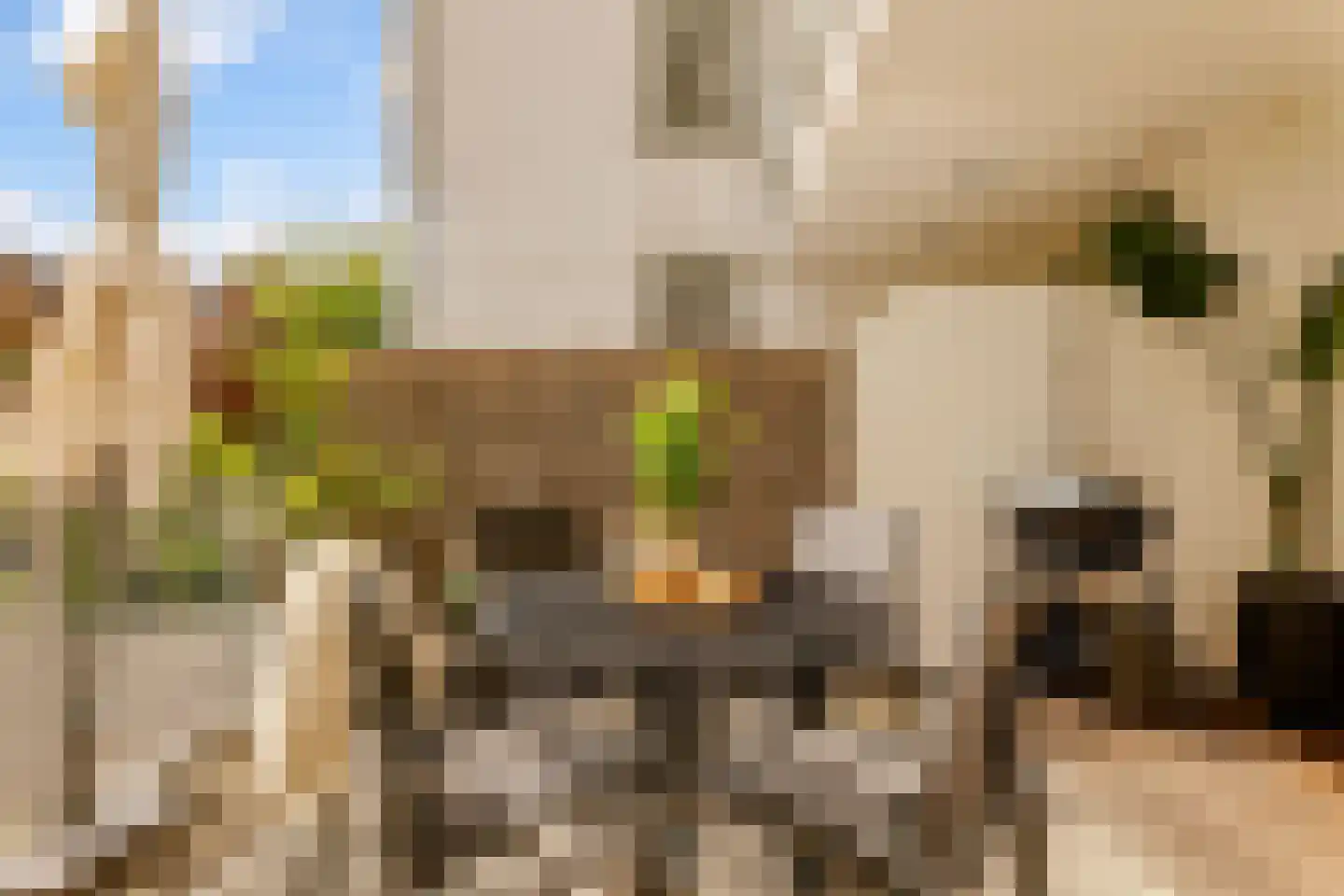 Overtoom 339 1 Amsterdam thumbnail 7