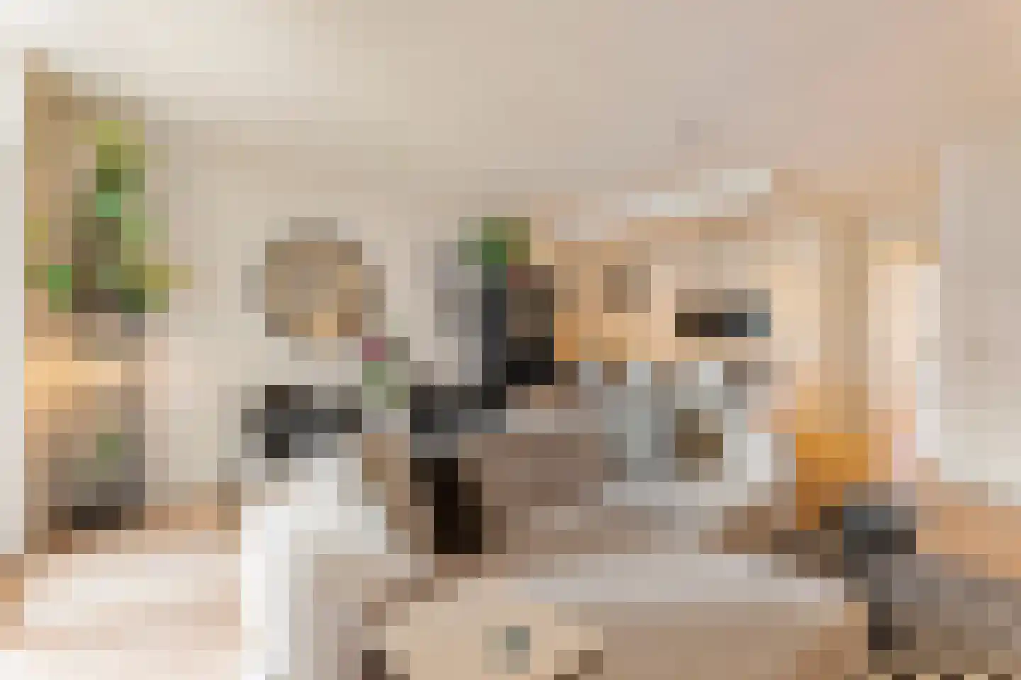 Overtoom 339 1 Amsterdam thumbnail 8