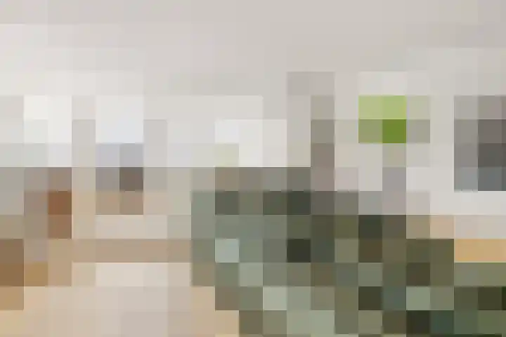 Overtoom 34 O Amsterdam thumbnail 11