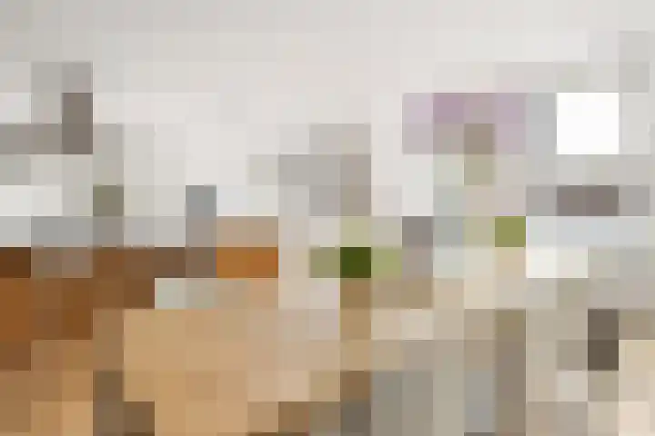 Overtoom 34 O Amsterdam thumbnail 14