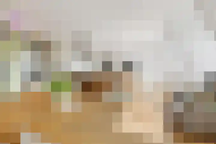 Overtoom 34 O Amsterdam thumbnail 15
