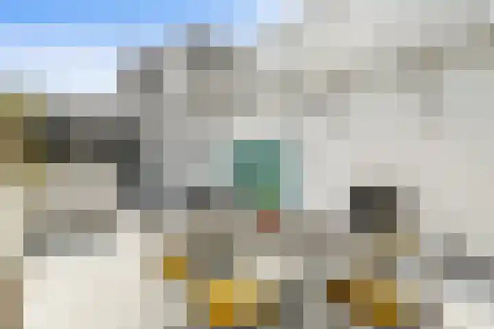 Overtoom 34 O Amsterdam thumbnail 36