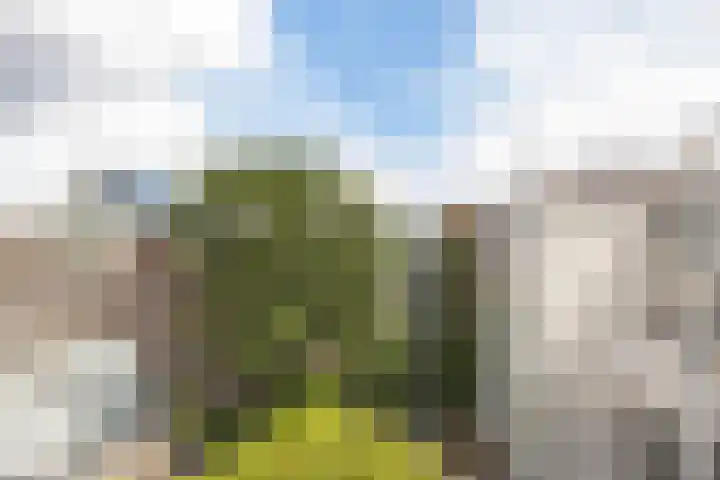 Overtoom 34 O Amsterdam thumbnail 37