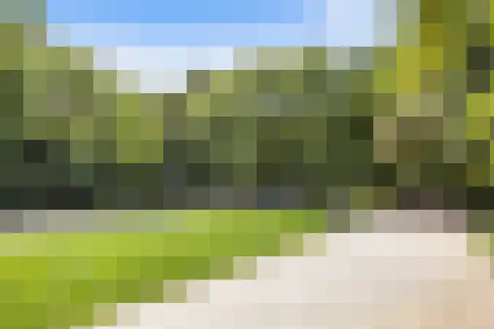 Overtoom 34 O Amsterdam thumbnail 47