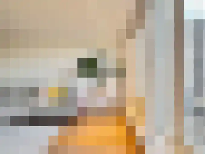 Overtoom 340 3 Amsterdam thumbnail 14