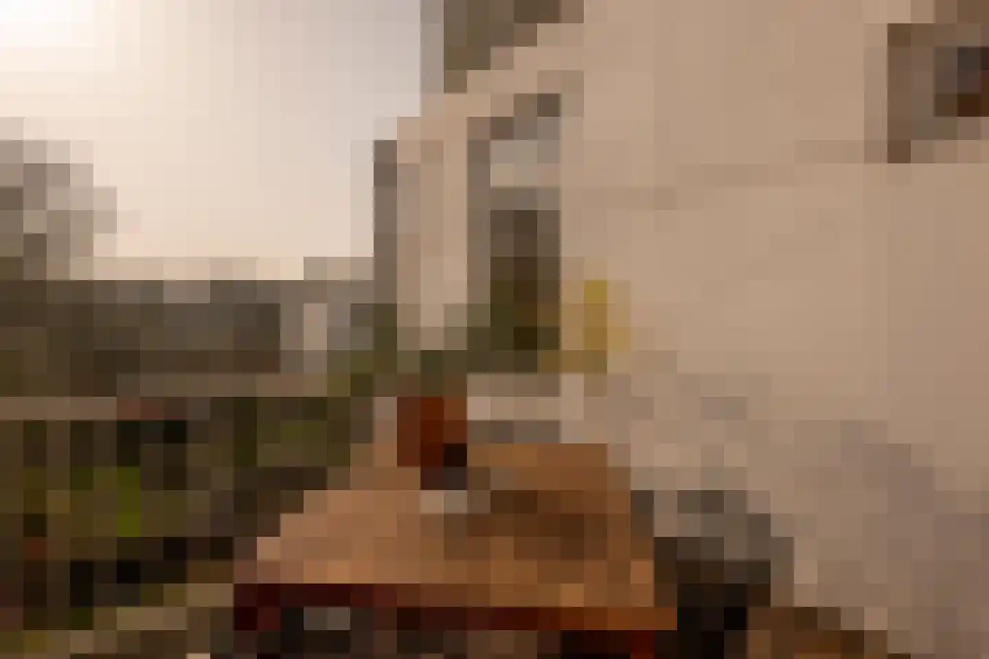 Overtoom 341 3 Amsterdam thumbnail 12