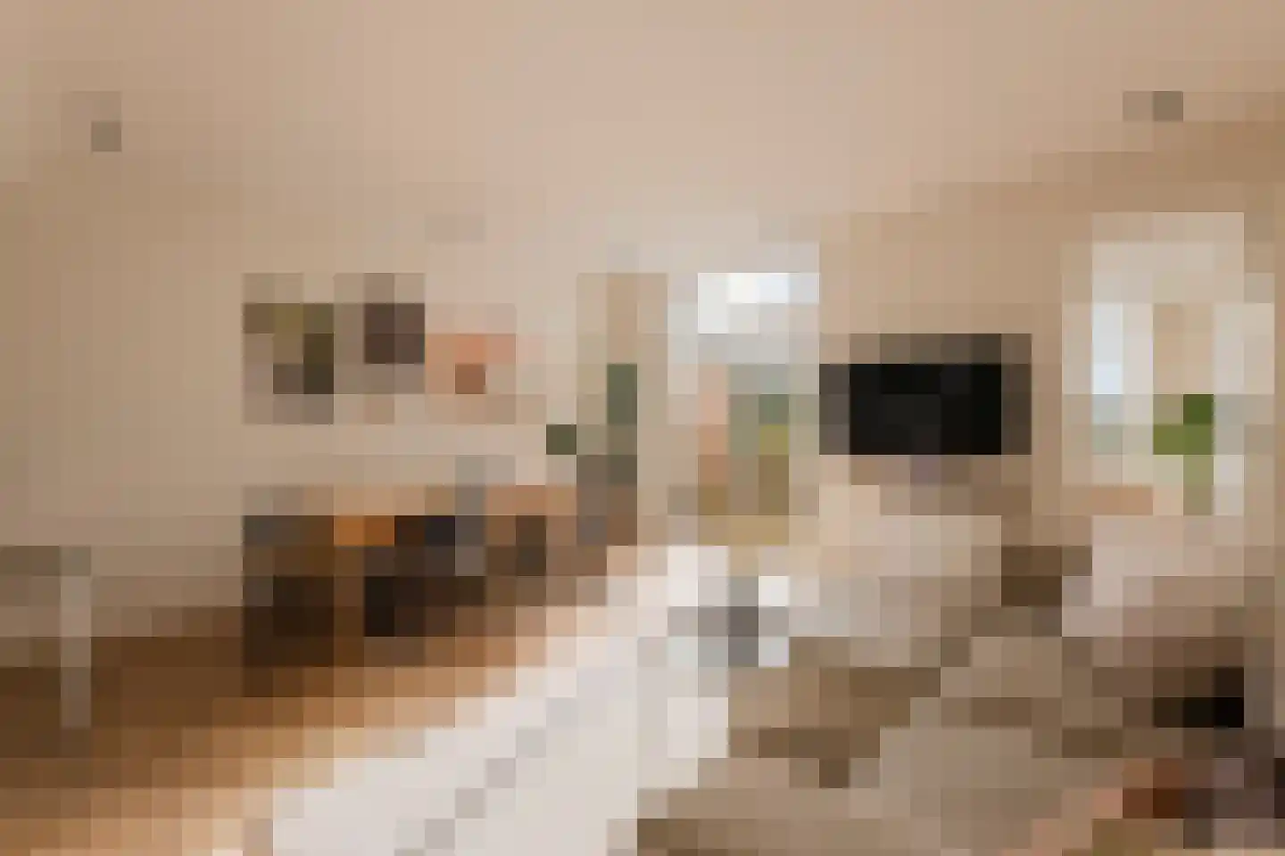 Overtoom 341 3 Amsterdam thumbnail 4