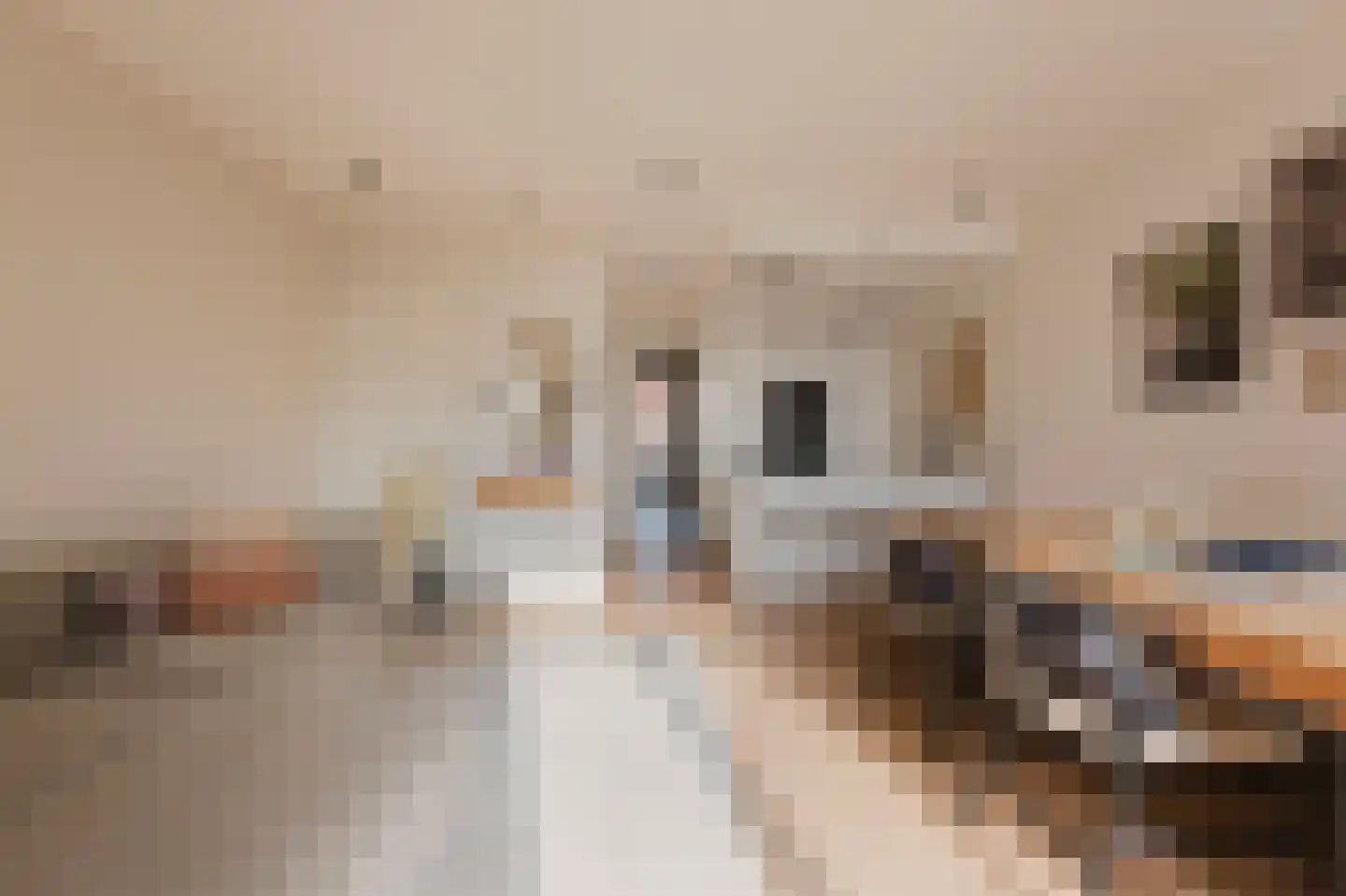 Overtoom 341 3 Amsterdam thumbnail 6