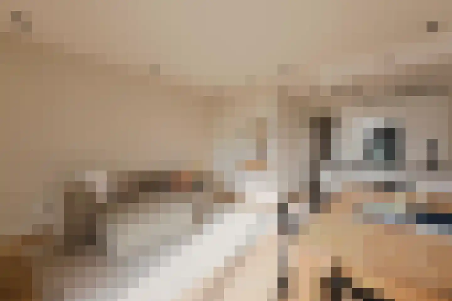 Overtoom 341 3 Amsterdam thumbnail 7