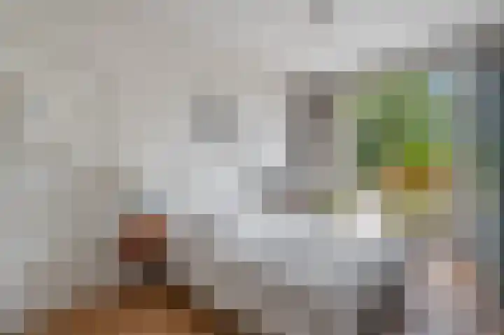 Overtoom 345 1 Amsterdam thumbnail 14
