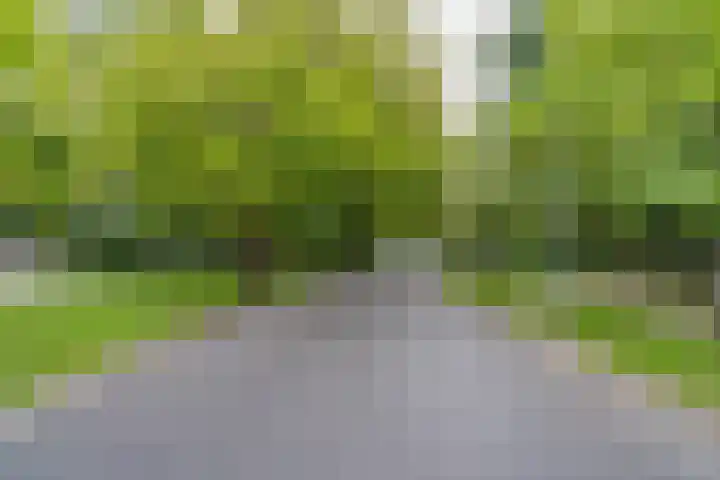 Overtoom 345 1 Amsterdam thumbnail 23