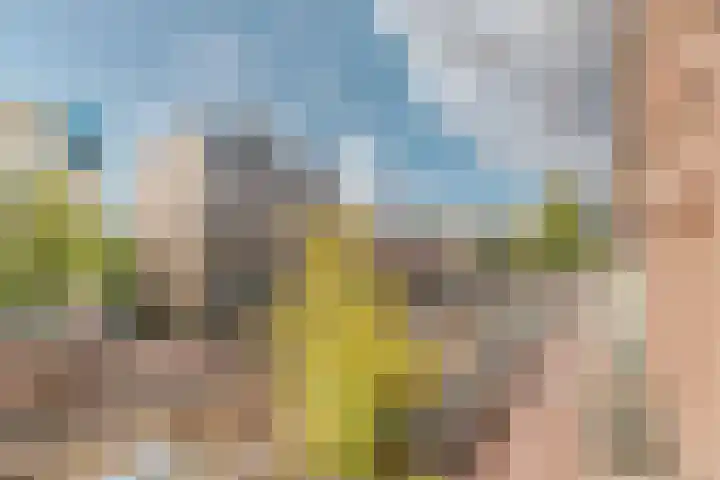 Overtoom 348 3 Amsterdam thumbnail 11