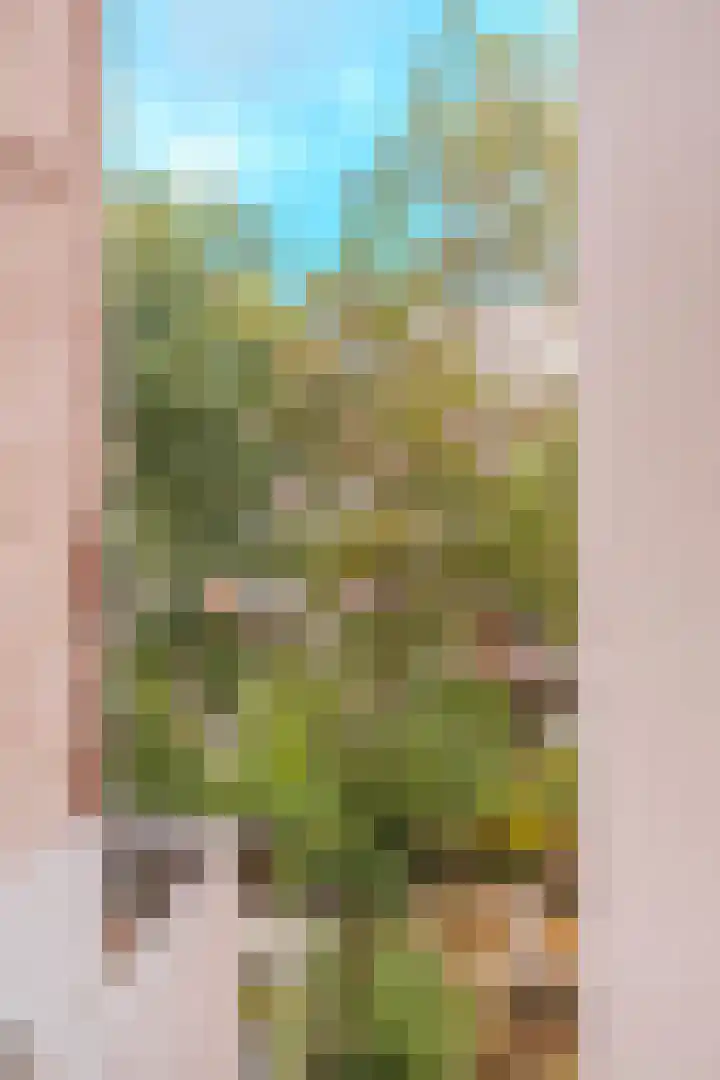Overtoom 348 3 Amsterdam thumbnail 20