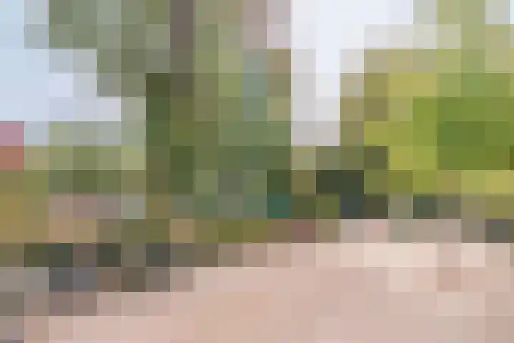 Overtoom 348 3 Amsterdam thumbnail 23