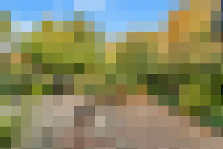 Overtoom 40 Castricum thumbnail 17