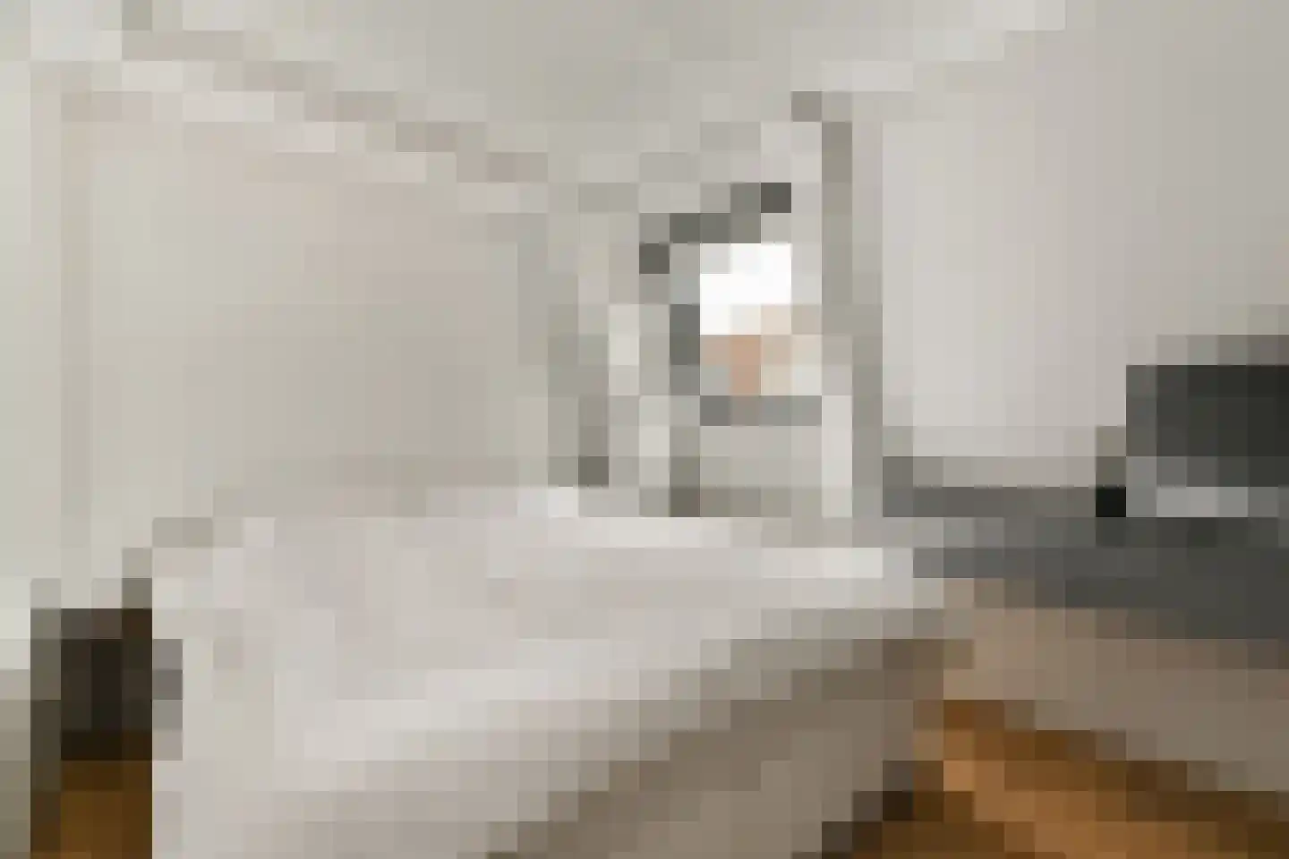 Overtoom 409 3 Amsterdam thumbnail 15
