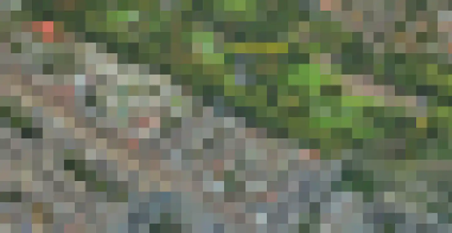 Overtoom 409 3 Amsterdam thumbnail 5
