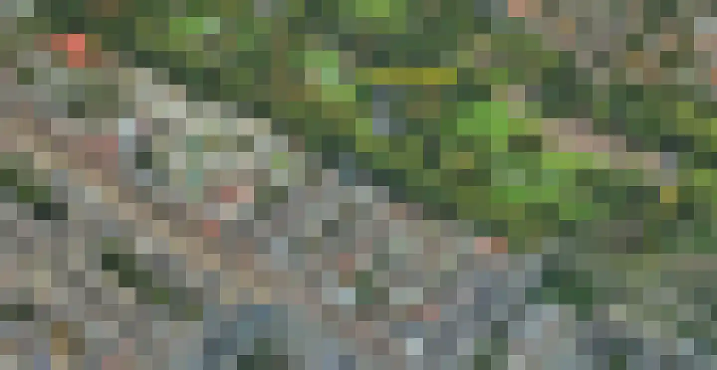 Overtoom 409 3 Amsterdam thumbnail 5