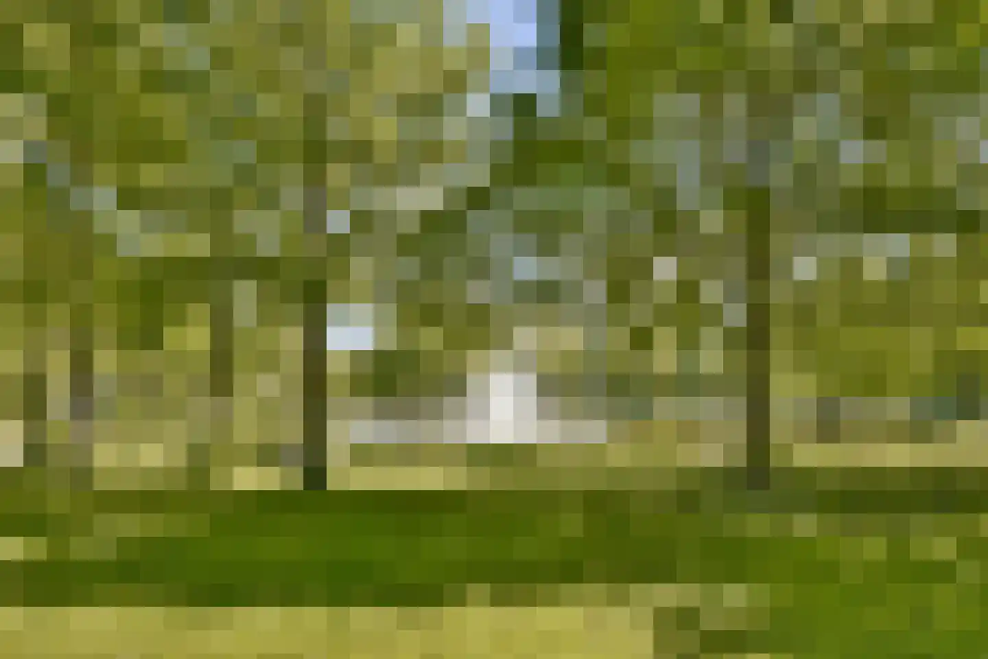Overtoom 414 2 Amsterdam thumbnail 19