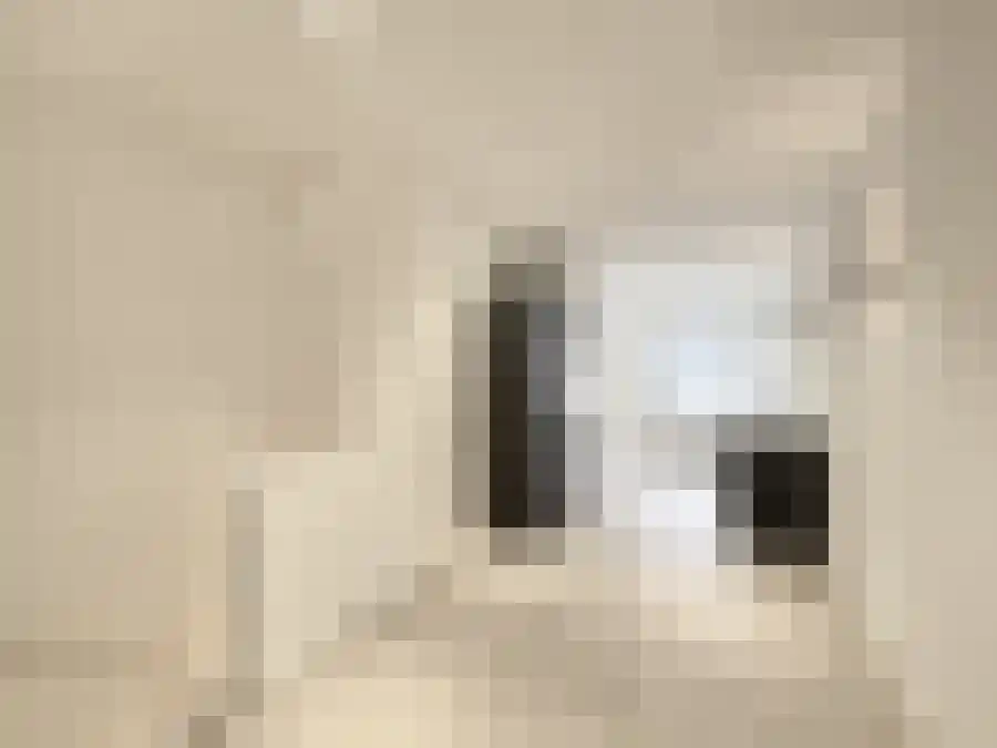Overtoom 419 Amsterdam thumbnail 10