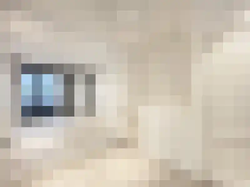 Overtoom 419 Amsterdam thumbnail 7