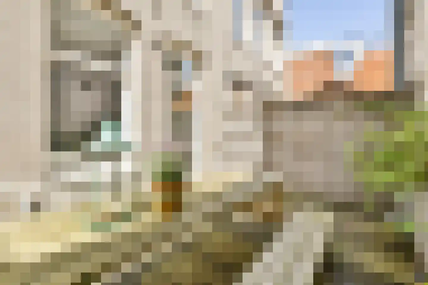 Overtoom 425 2 Amsterdam thumbnail 10