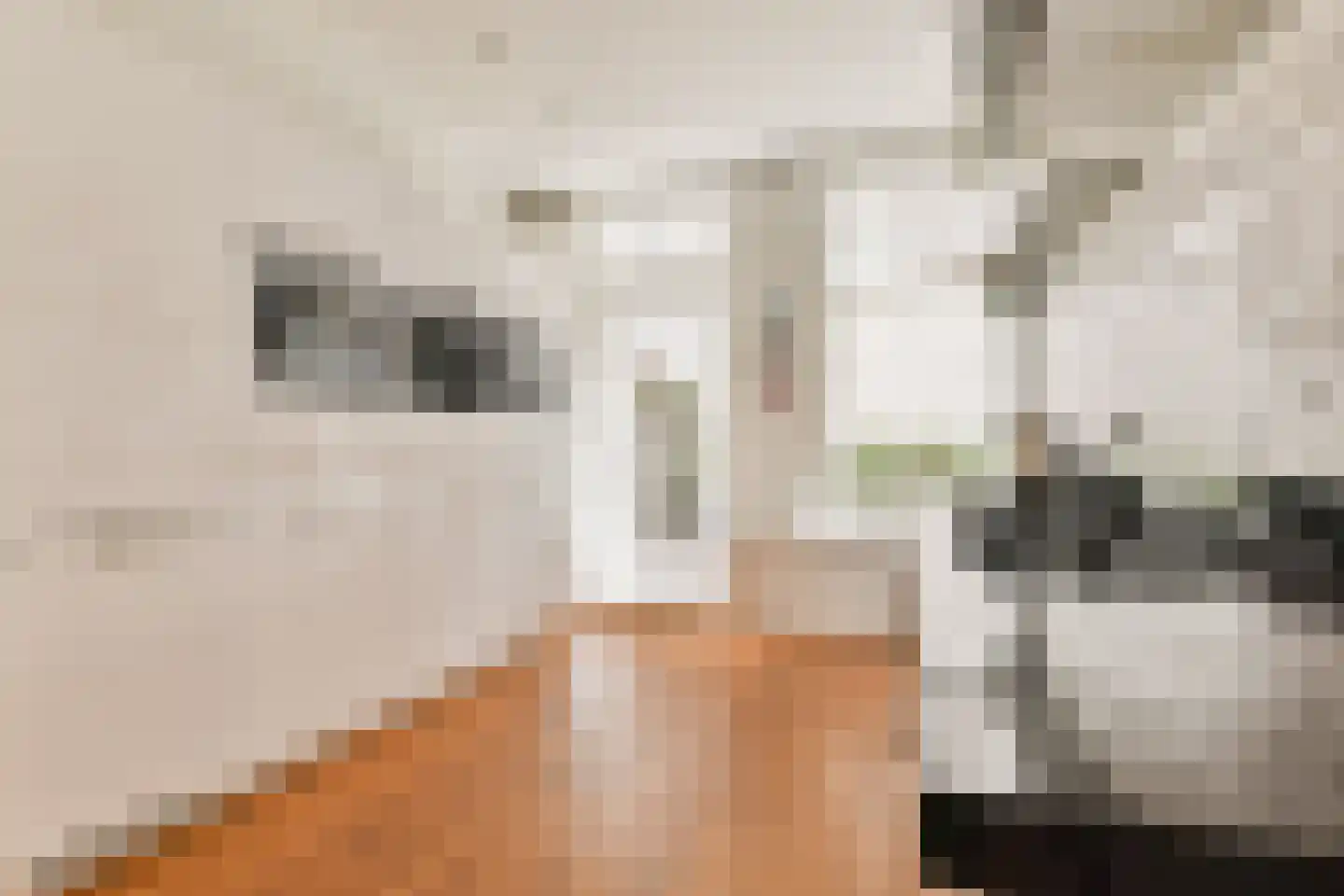 Overtoom 425 2 Amsterdam thumbnail 8