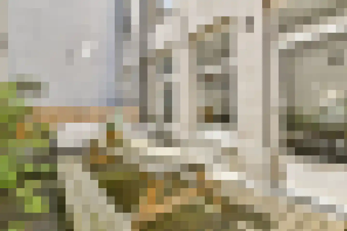 Overtoom 425 2 Amsterdam thumbnail 9