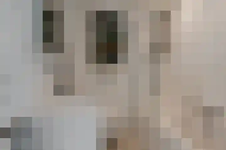 Overtoom 433 2 Amsterdam thumbnail 21