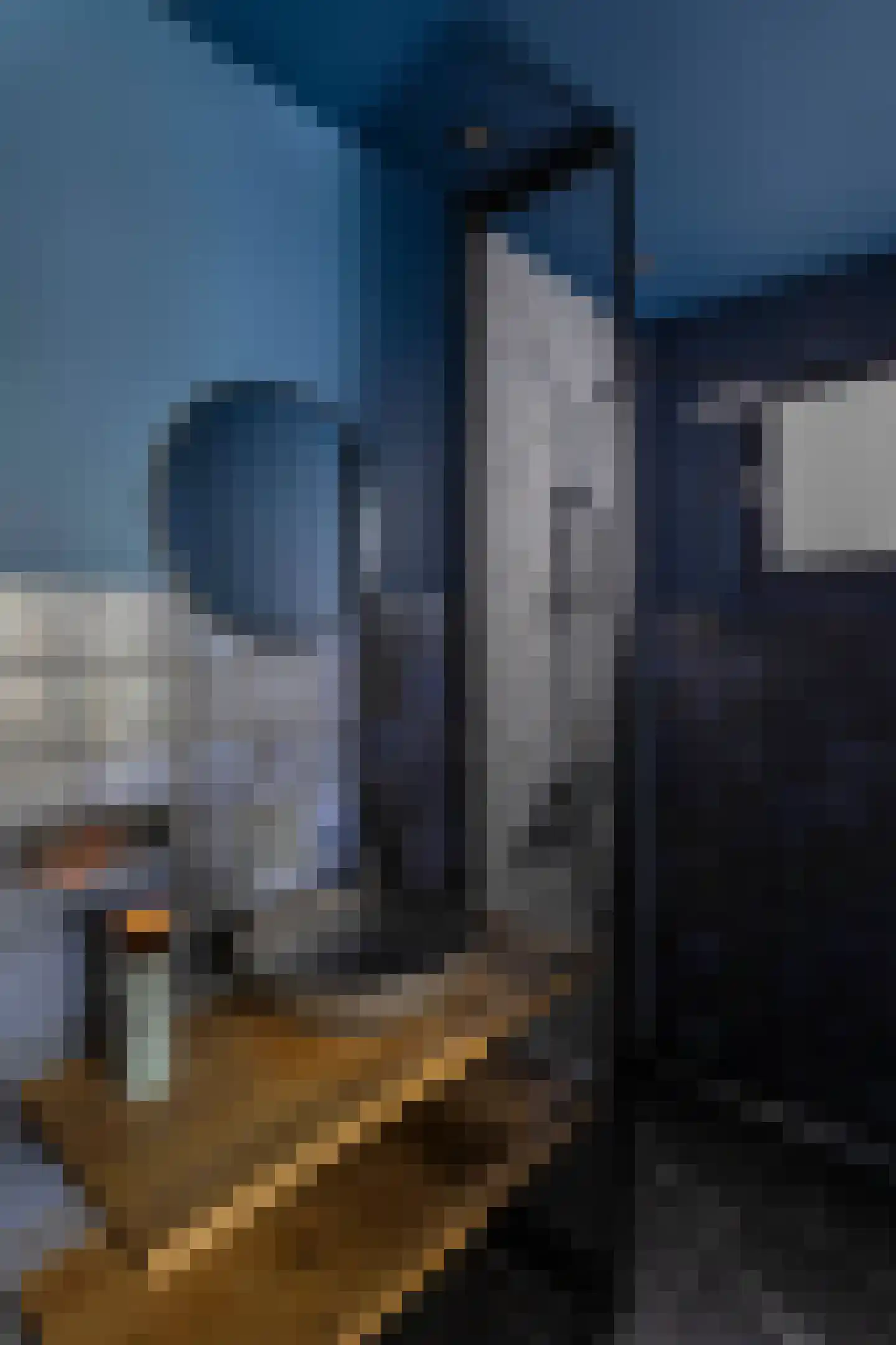 Overtoom 444 2 Amsterdam thumbnail 27