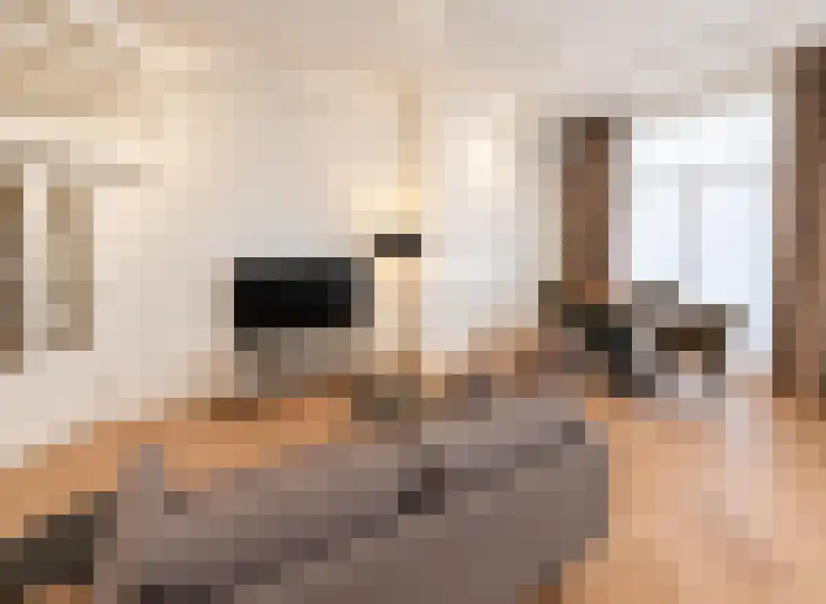 Overtoom 448 Amsterdam thumbnail 5