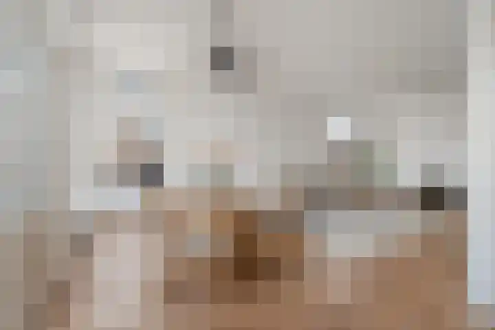 Overtoom 459 2 Amsterdam thumbnail 17