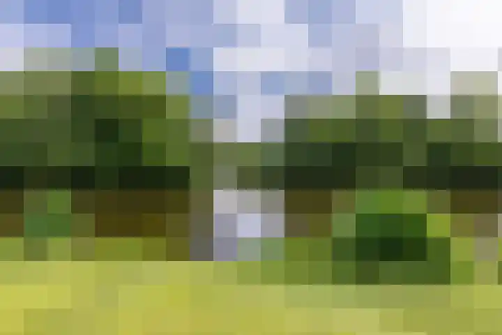 Overtoom 459 2 Amsterdam thumbnail 39