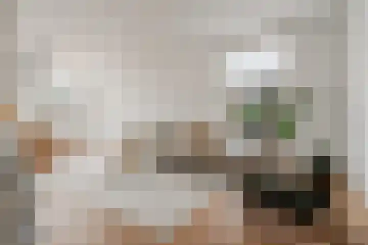 Overtoom 459 2 Amsterdam thumbnail 5