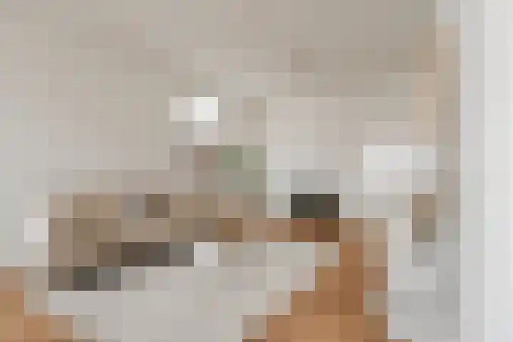 Overtoom 459 2 Amsterdam thumbnail 7