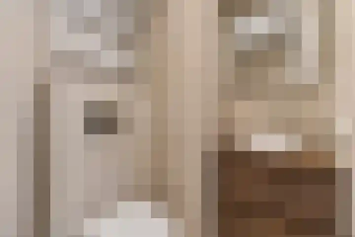 Overtoom 463 C Amsterdam thumbnail 11