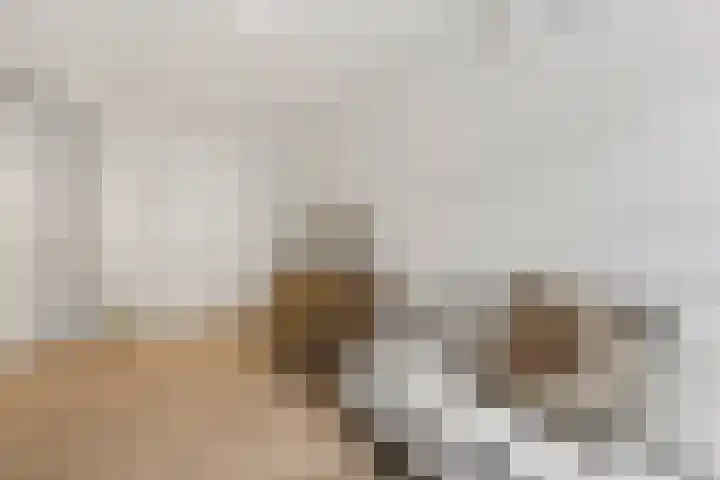 Overtoom 463 C Amsterdam thumbnail 5
