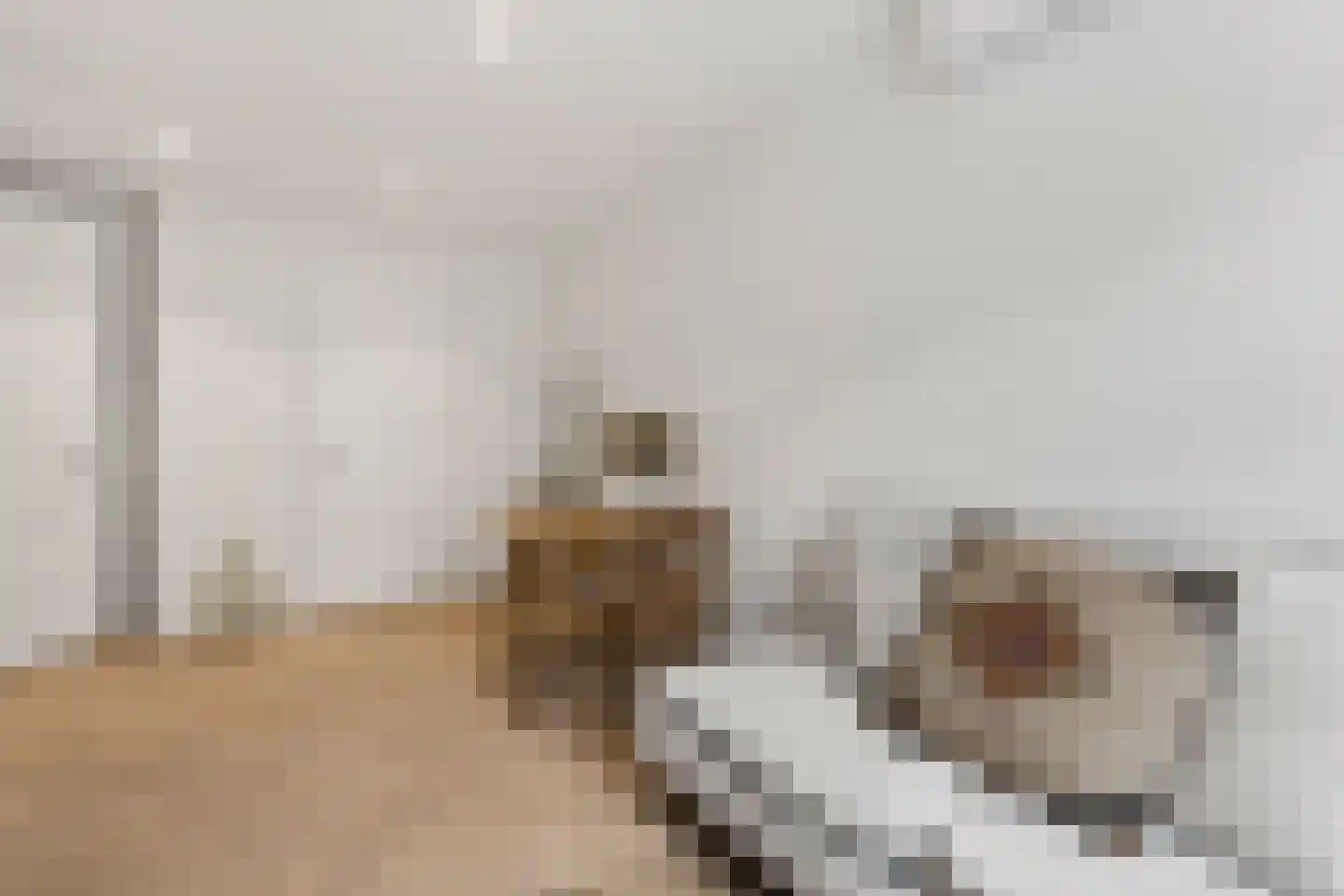 Overtoom 463 C Amsterdam thumbnail 5