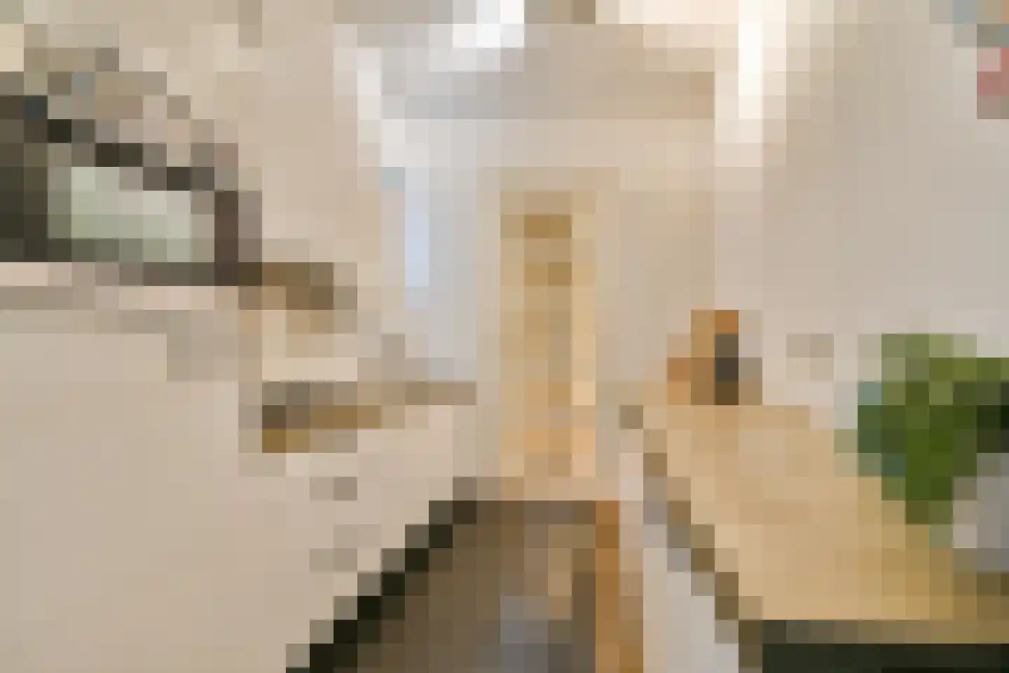 Overtoom 464 B Amsterdam thumbnail 8