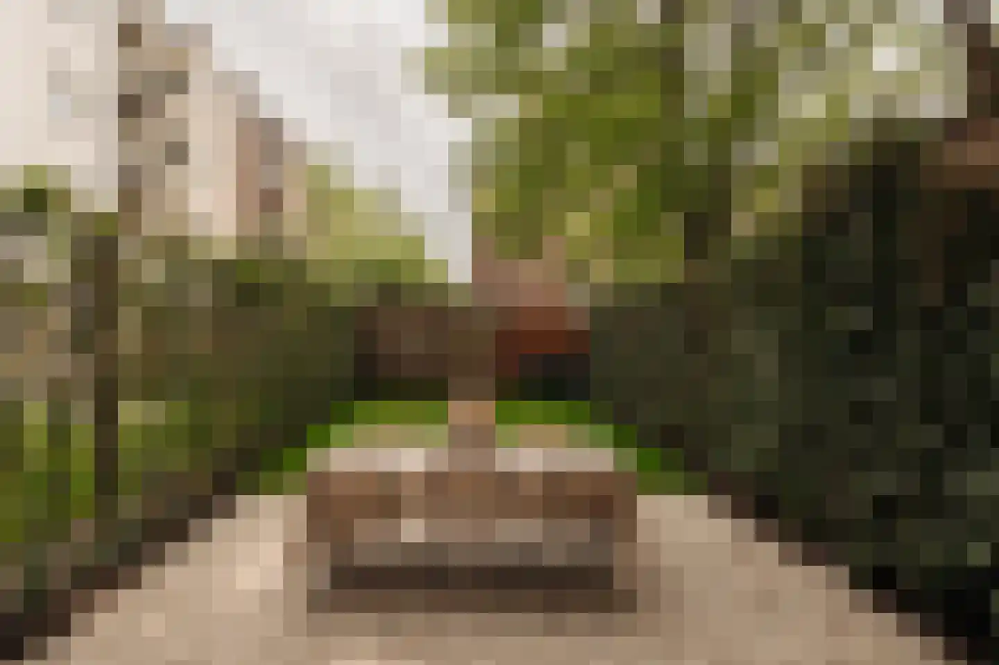 Overtoom 467 A Amsterdam thumbnail 10