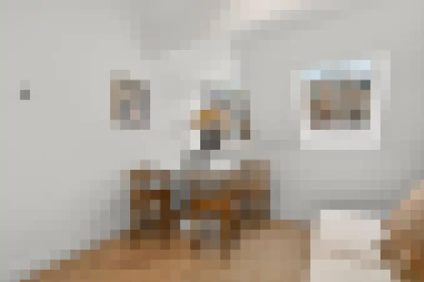 Overtoom 467 E Amsterdam thumbnail 4