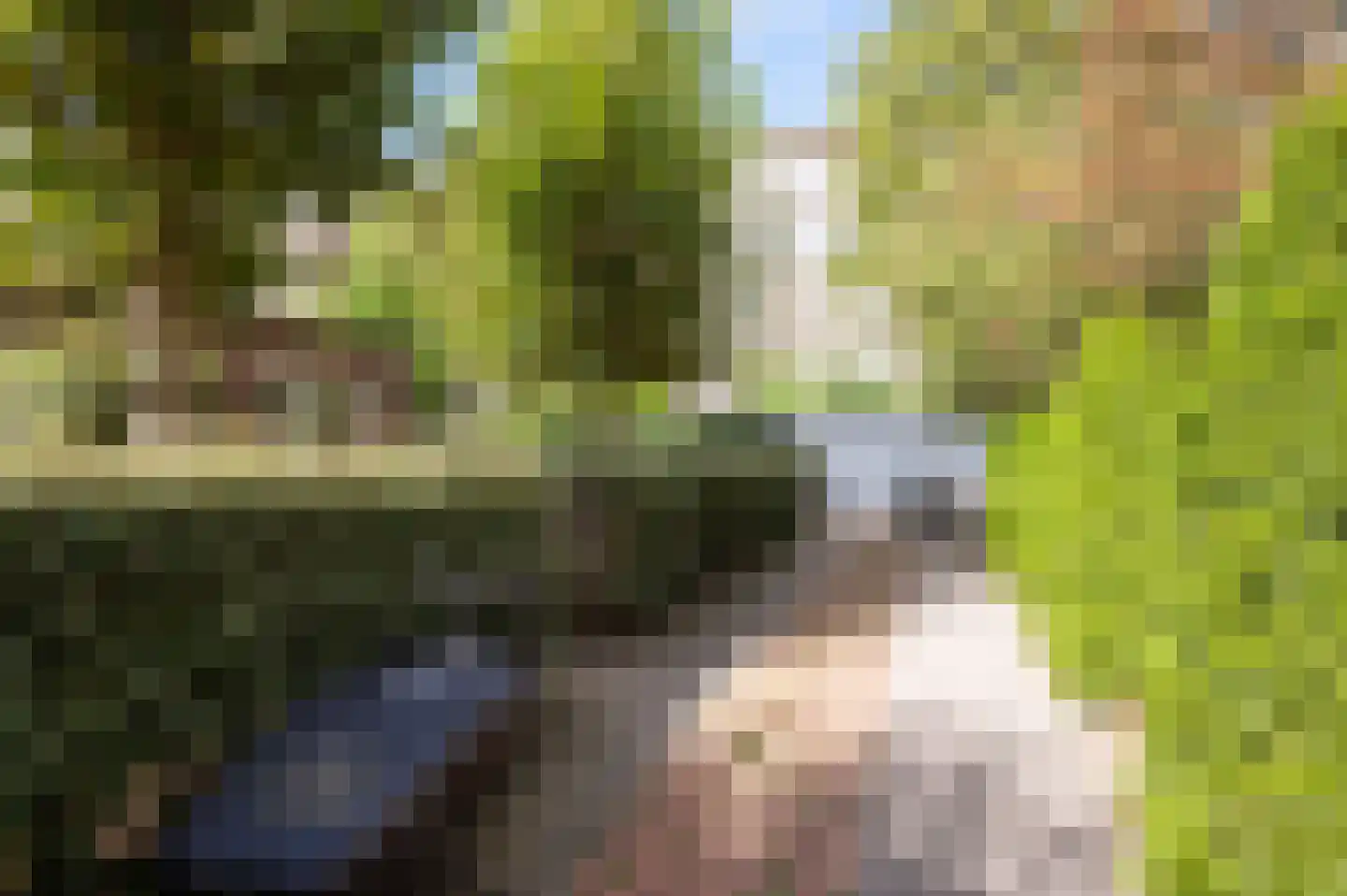 Overtoom 479 Amsterdam thumbnail 9