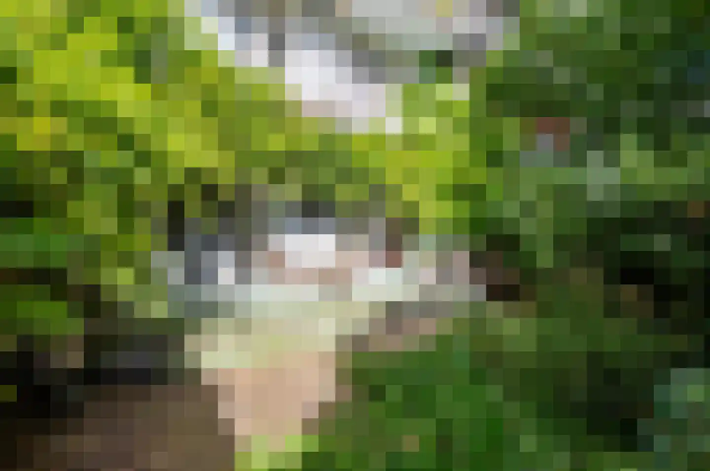 Overtoom 479 Amsterdam thumbnail 5