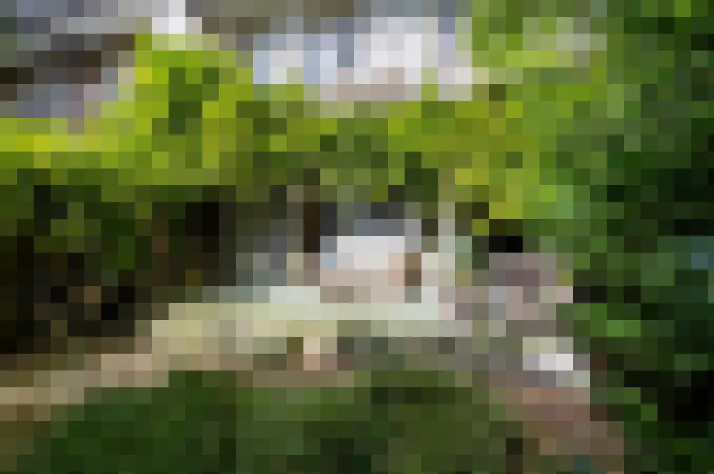 Overtoom 479 Amsterdam thumbnail 6