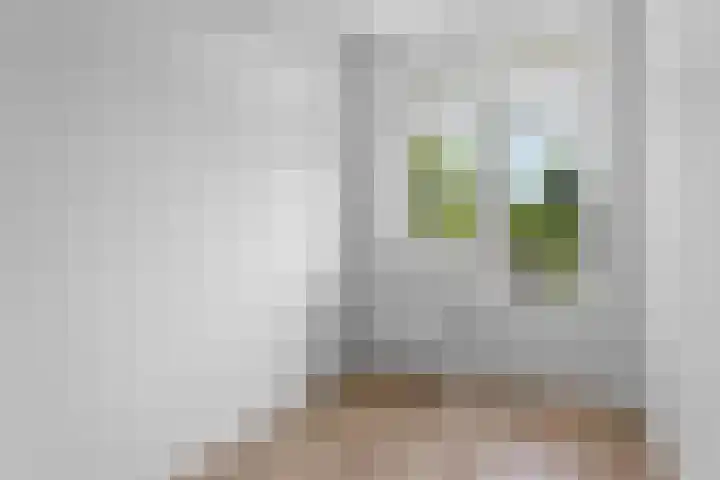 Overtoom 481 3 Amsterdam thumbnail 15